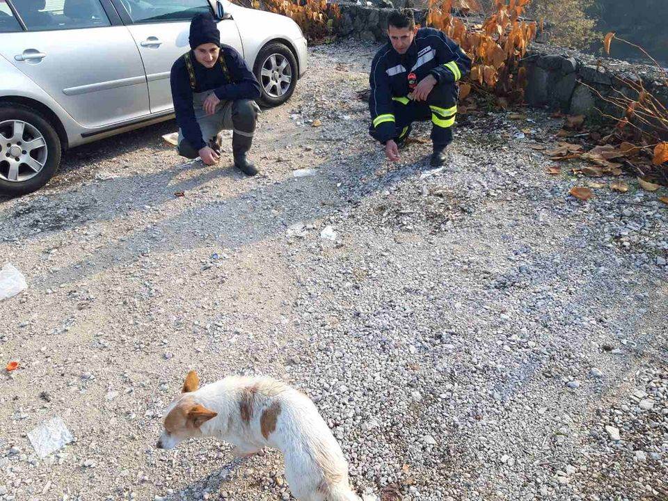  Human gest: Banjalučki vatrogasci spasili psa iz Vrbasa (Video) 