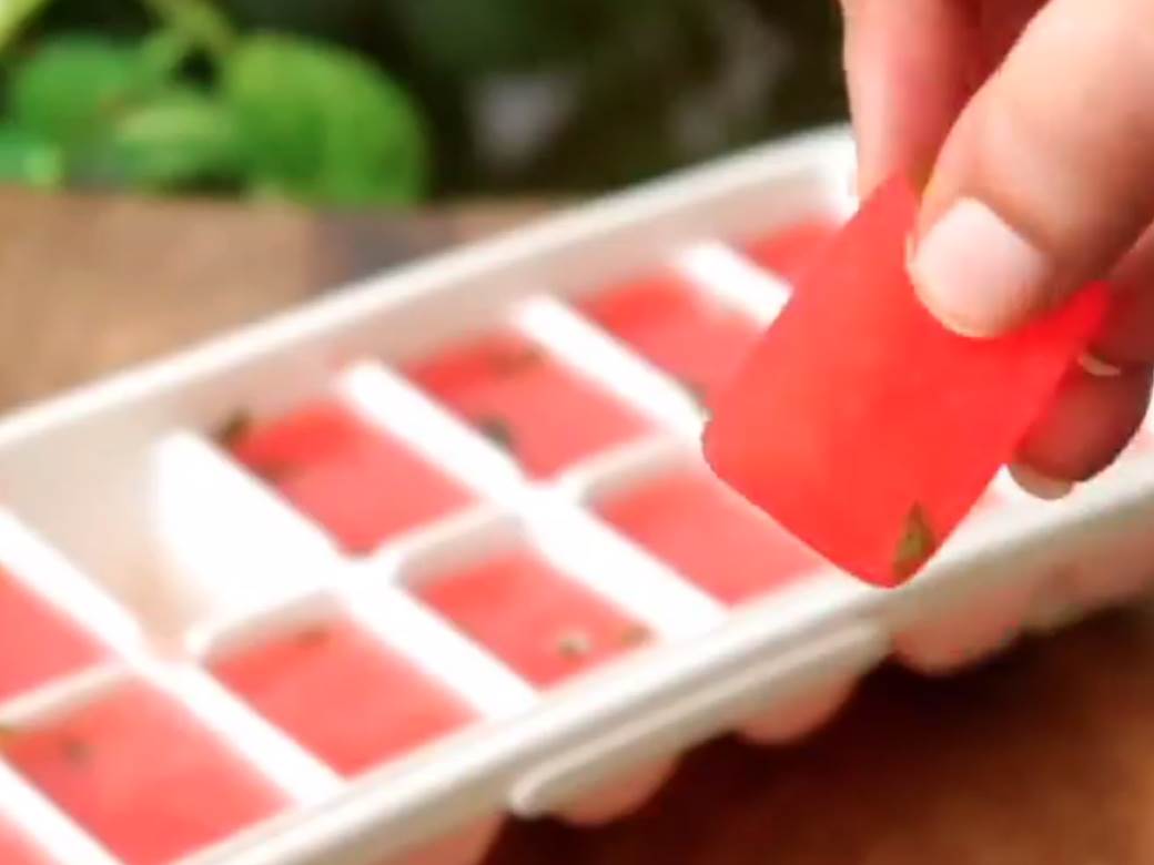  Problemi na koži nestaće za tili čas: Kockice leda s paradajzom i medom su hit na Instagramu, oduševiće vas rezultati! 