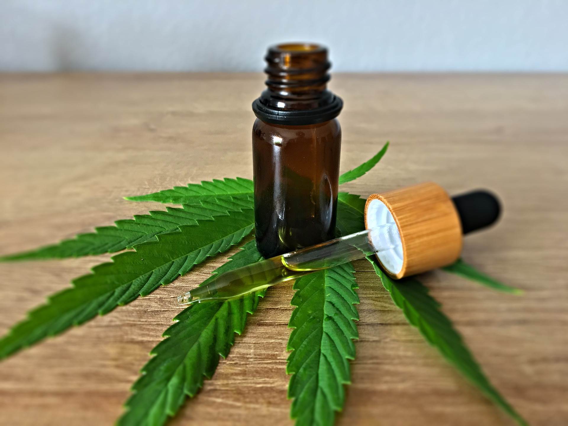  Legalizacija kanabisa u BiH u medicinske svrhe 
