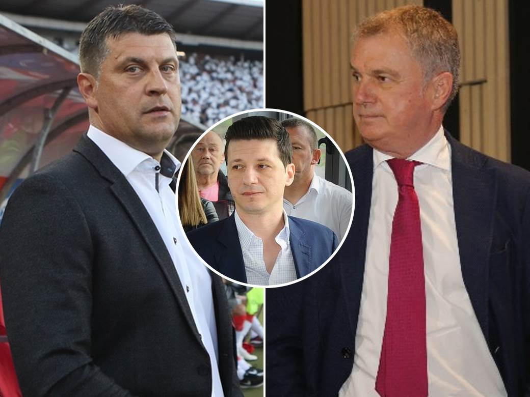  Fudbalski savez Srbije novi selektor Vladan Milojević 