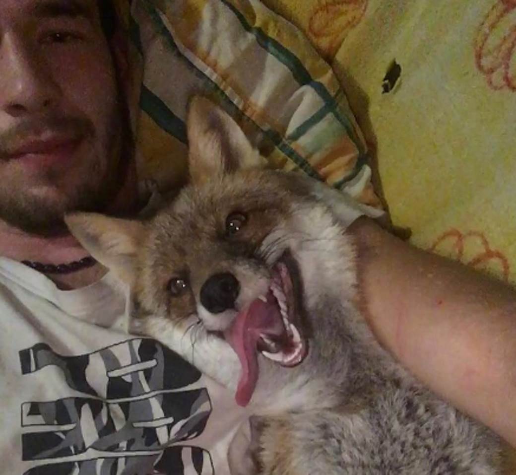  Najrazmaženiji ljubimac: Jasmin je Odija pronašao u kanalu, sada su nerazdvojni i pravi hit na društvenim mrežama! 