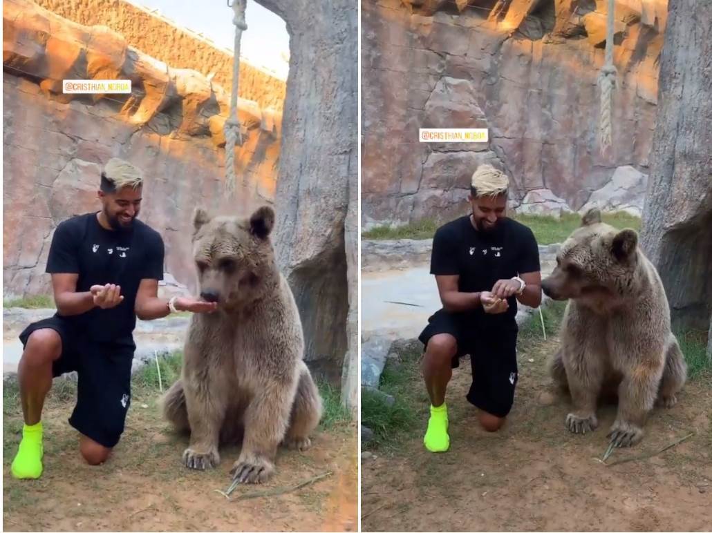  Hit! Medved jede iz ruke fudbalske zvezde: Ovo definitivno može samo u Rusiji! (VIDEO) 