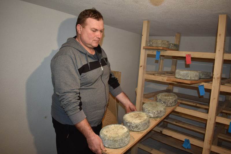  Odabrao život na obroncima Gorice: Pravi sireve i janjski kajmak 