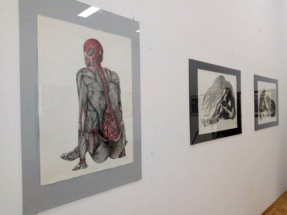  U Prijedoru otvorena izložba "Crteži" Nikoline Peslać 