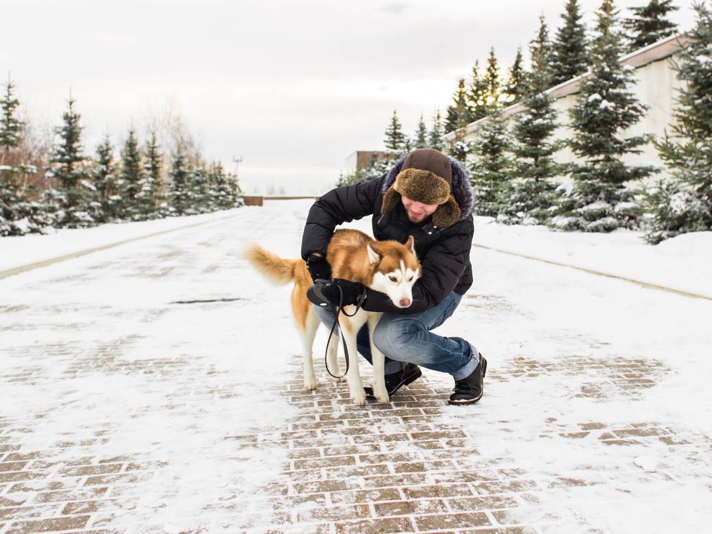  Šetnja s psom zimi: Kako da znate da li je vašem ljubimcu hladno 