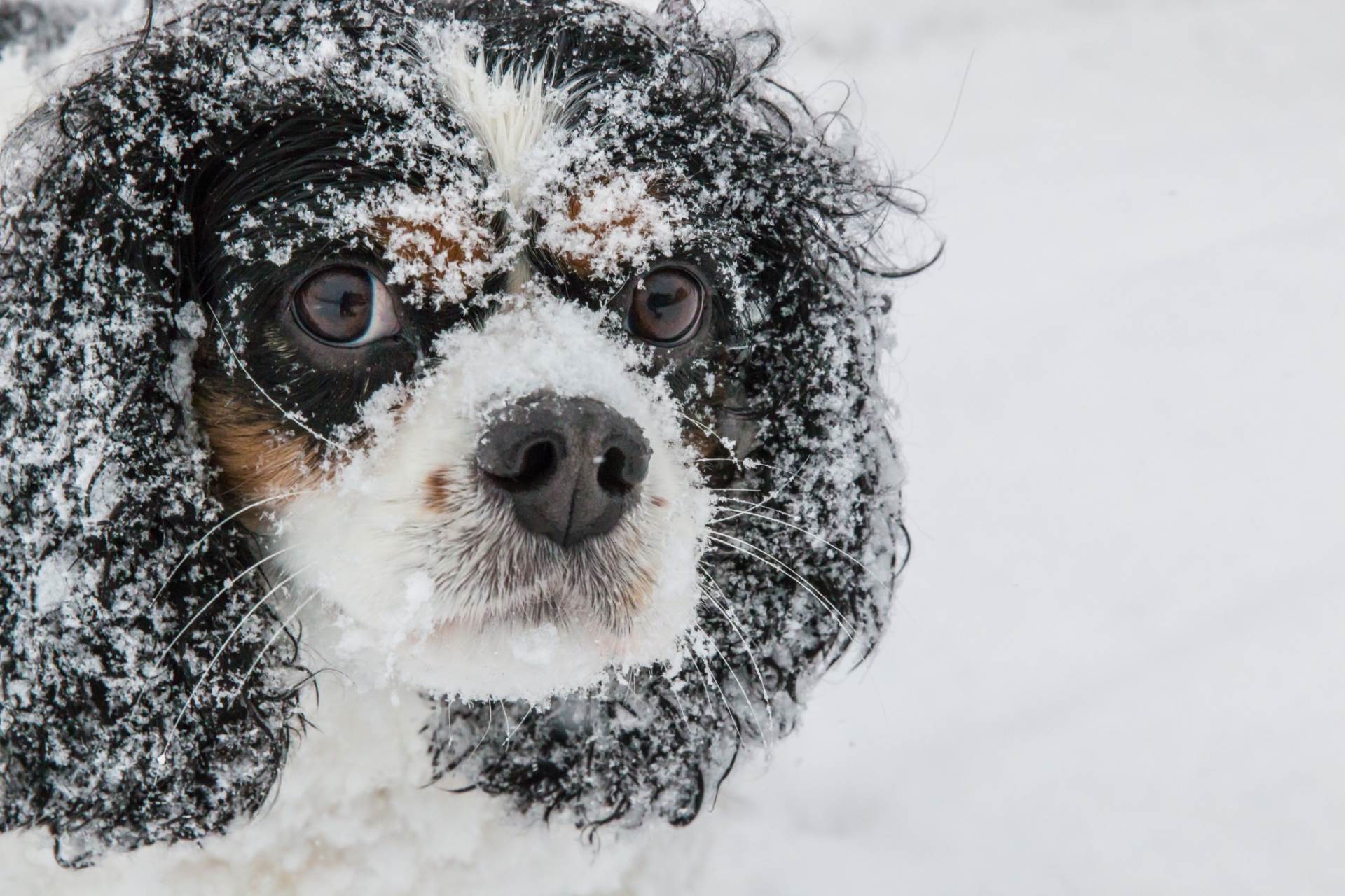  Danas oblačno sa padavinama 