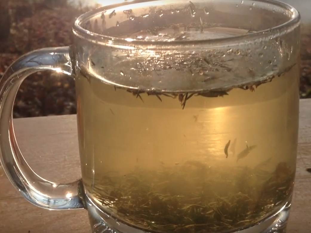  Čaj od 3 sastojka koji jača imunitet: Tajna je u načinu pripreme, ne biste ni pomislili da pravi toliku razliku 