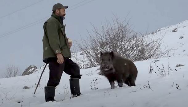  Slavkov kućni ljubimac je divlja svinja Tito (VIDEO) 