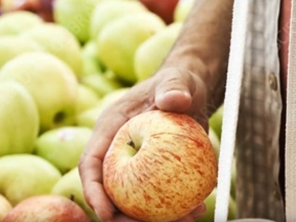 Kako prepoznati prskane jabuke 