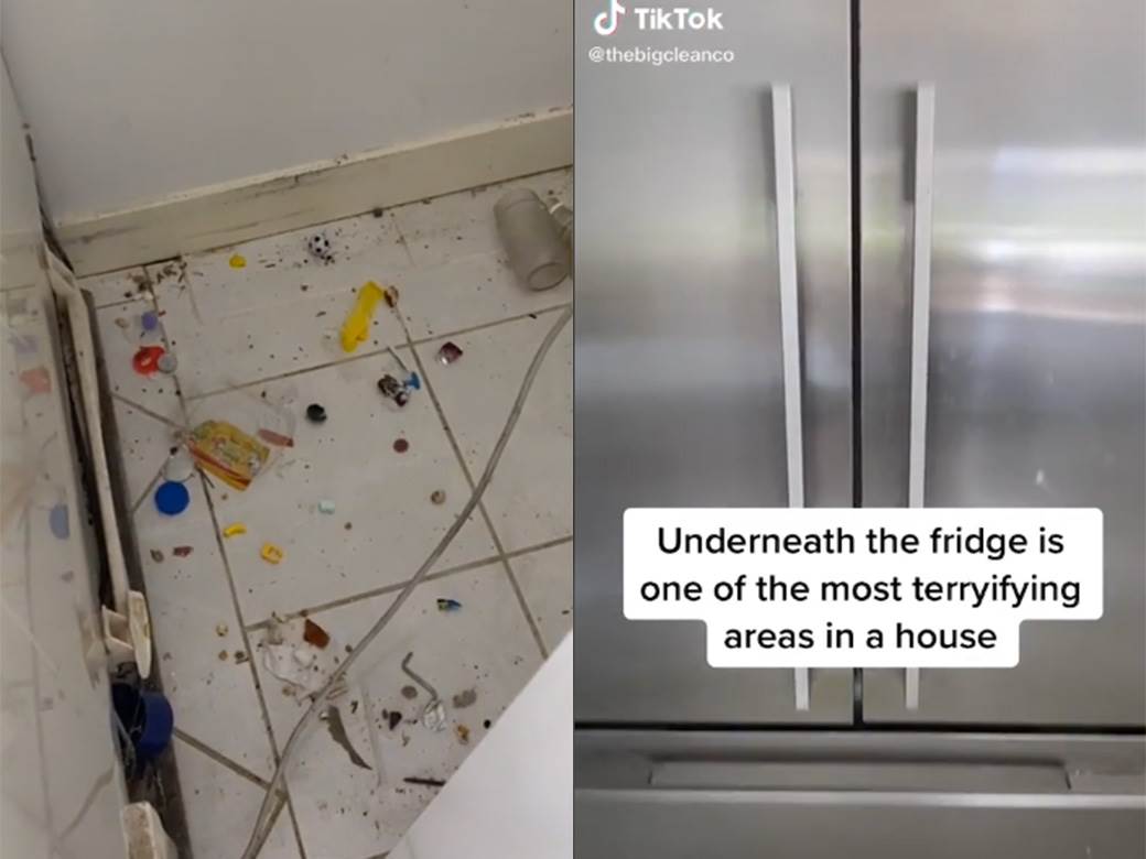  Čistačica otkrila najprljavije mjesto u kuhinji: Većina ljudi zaboravlja da ga očisti (VIDEO) 