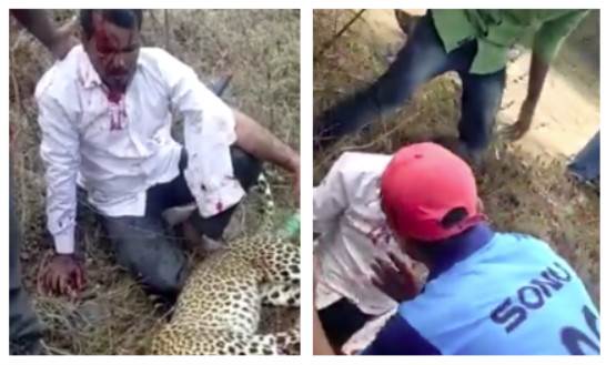 Ubio leoparda golim rukama: Zvijer zagrizla nogu djeteta, a onda je hrabri Indijac uradio nemoguće 