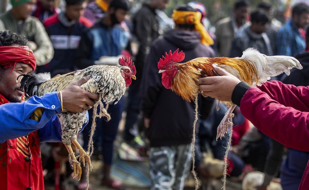  Pijevac ubio vlasnika 