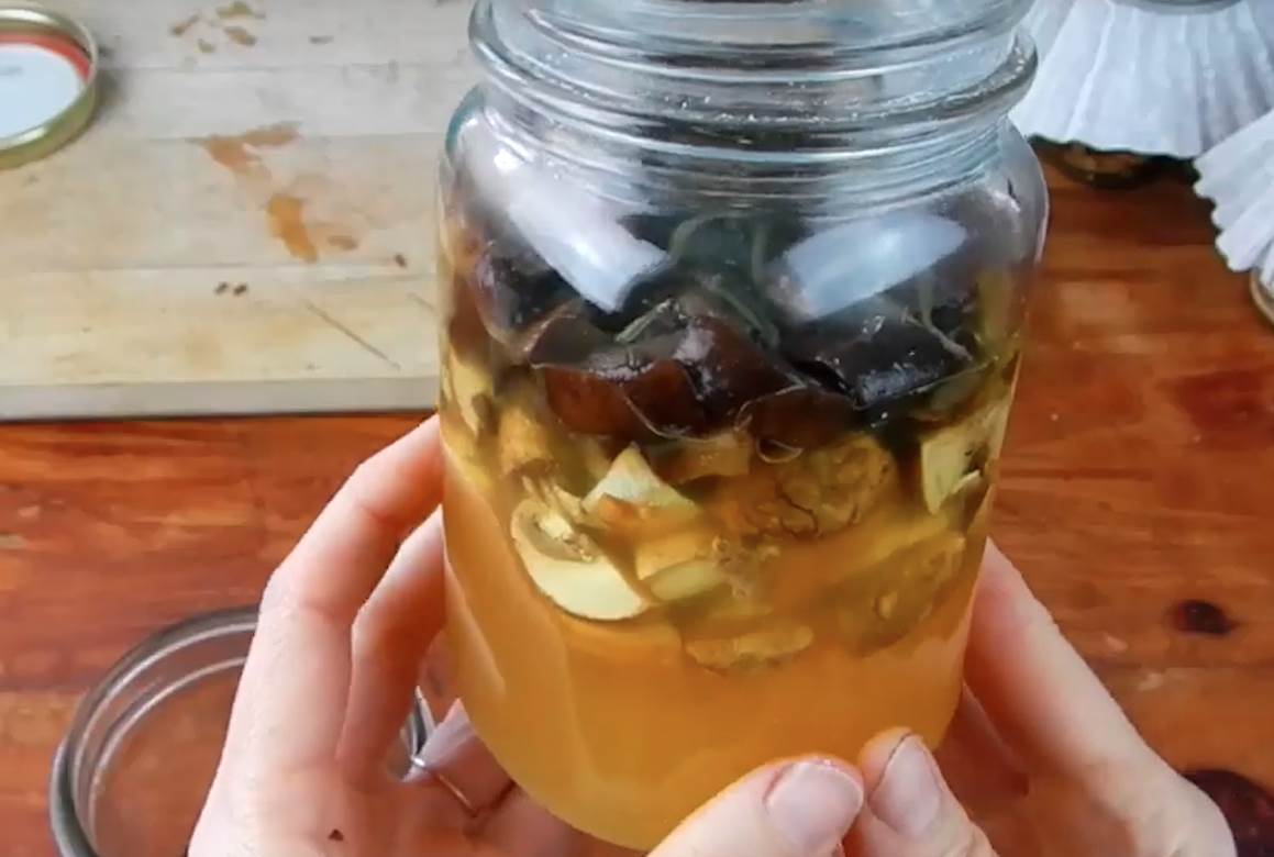  Napravite kod kuće "bombu" za imunitet: Potrebna su vam tri sastojka, jedan u Kini zovu "simbol dugovečnosti"! 