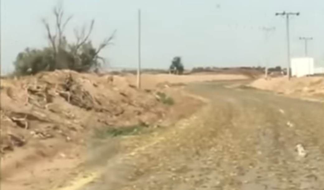  Neviđena katastrofa: Najezda skakavaca pustoši sve pred sobom, lokalci ih hvataju pa jedu (VIDEO) 