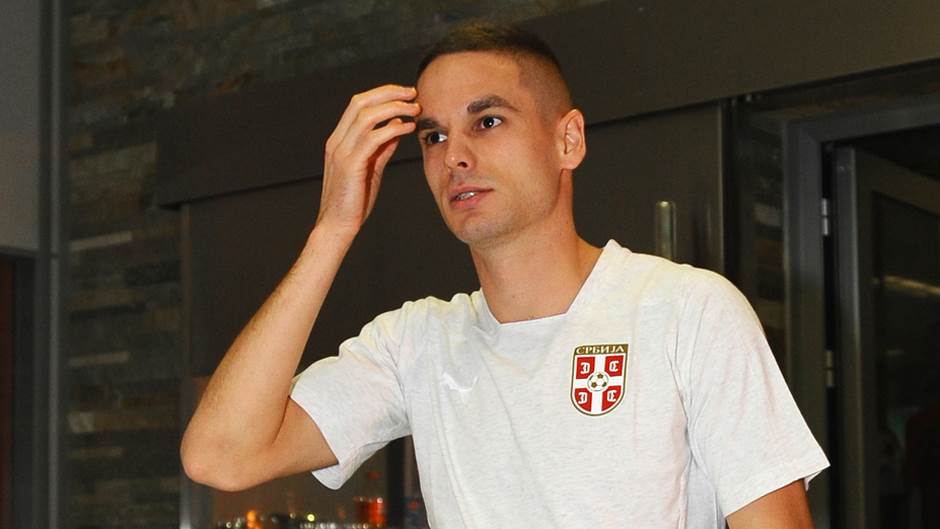  mladen-krstajic-reprezentacija-srbija-svetsko-prvenstvo-branislav-ivanovic-jovic-gacinovic 
