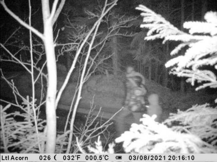  Baka i unuka zalutale tokom šetnje: Pronašla ih Gorska služba spasavanja 