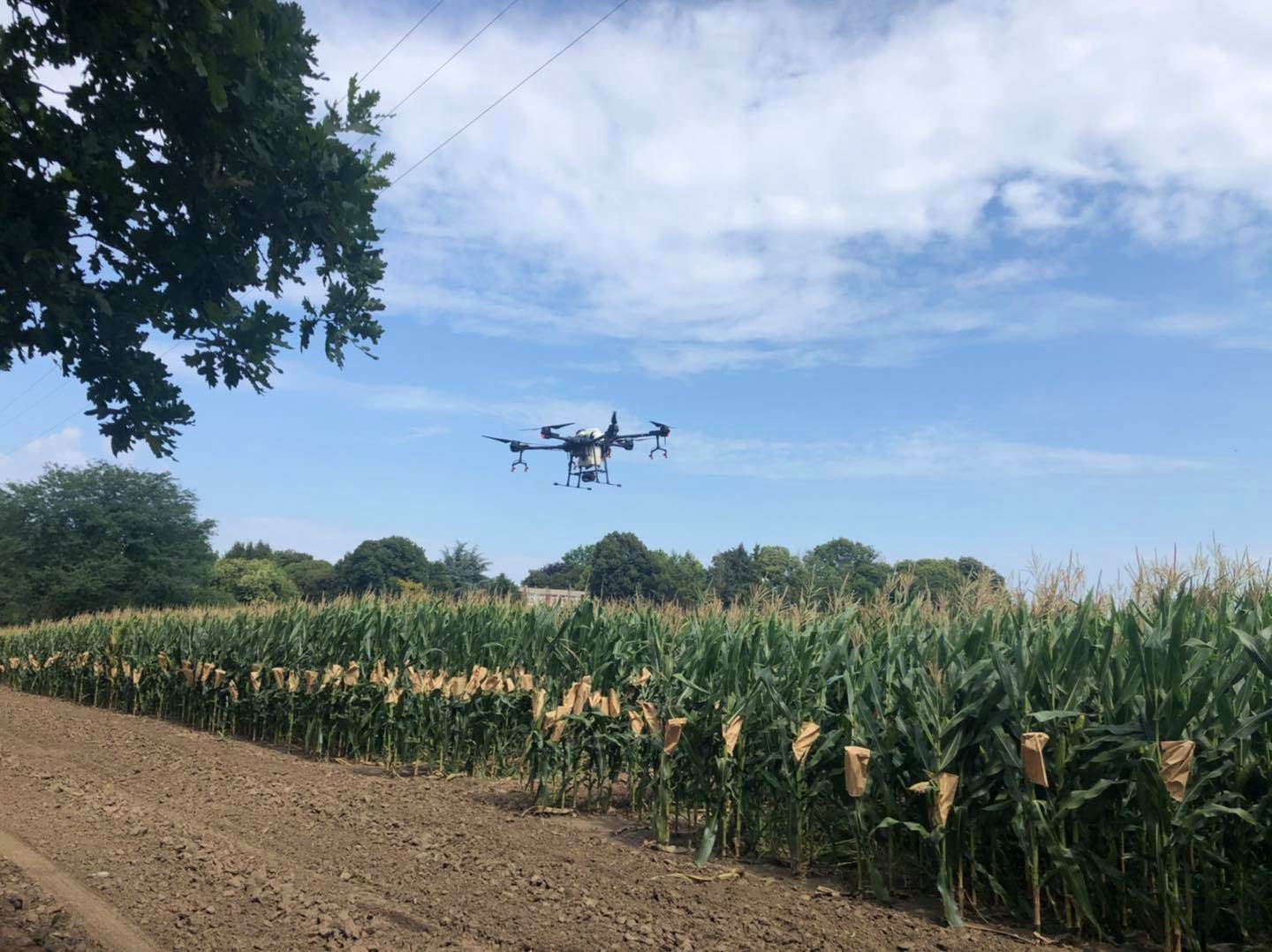  Bespilotne letjelice u poljoprivredi: Dronovi sve vide 