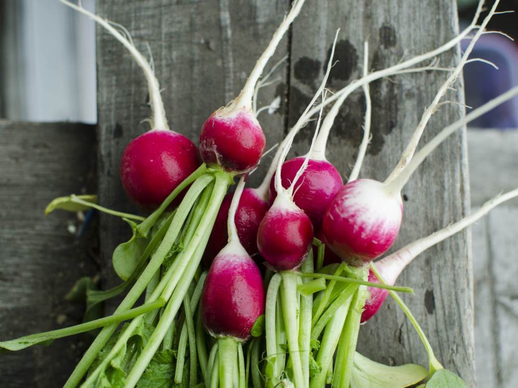  Rotkva, jeftino i lako dostupno povrće koje čini čuda za zdravlje 