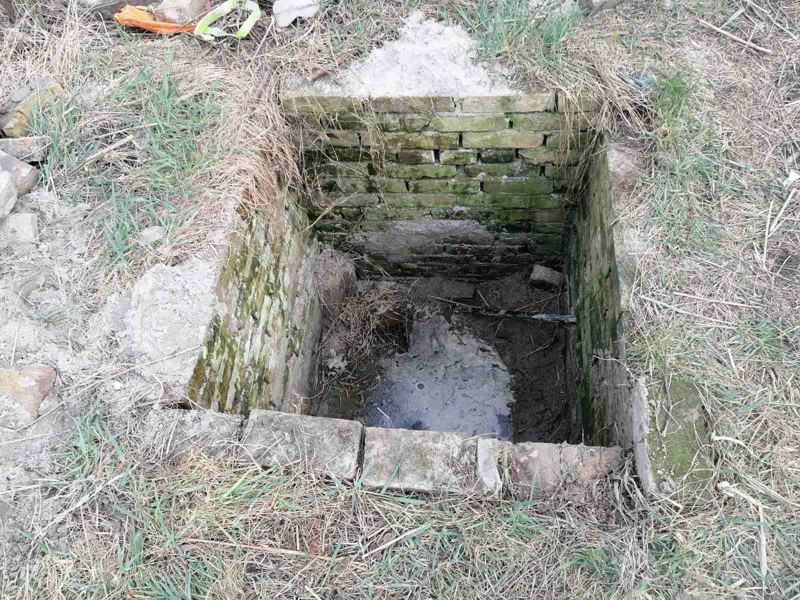  Potresna ispovjest Bečejke čija je majka ubijena: Sanjala sam je mjesecima 