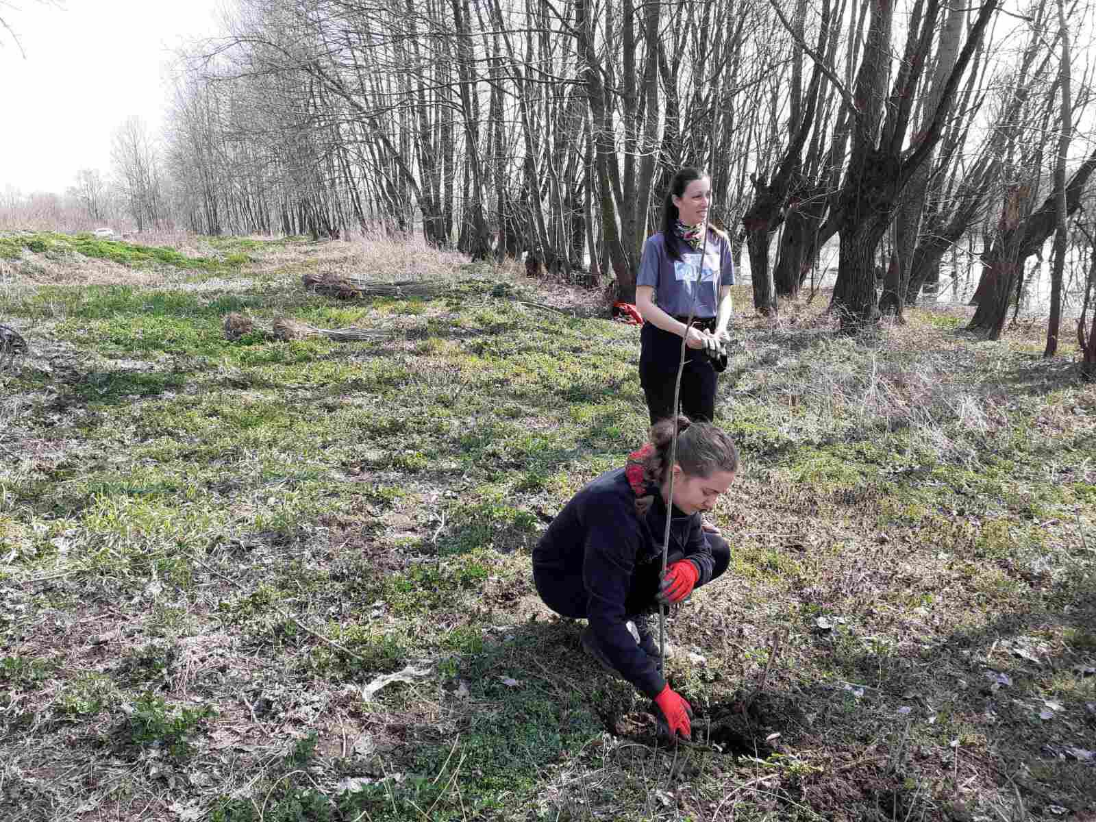  Zaštićeno stanište "Tišina" obogaćuju sa 1.500 sadnica poljskog jasena (FOTO) 