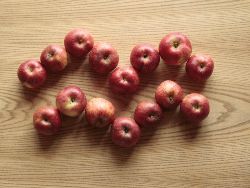  Vodolije, stavite sebe na prvo mjesto; Ovnovi, danas uživajte... 