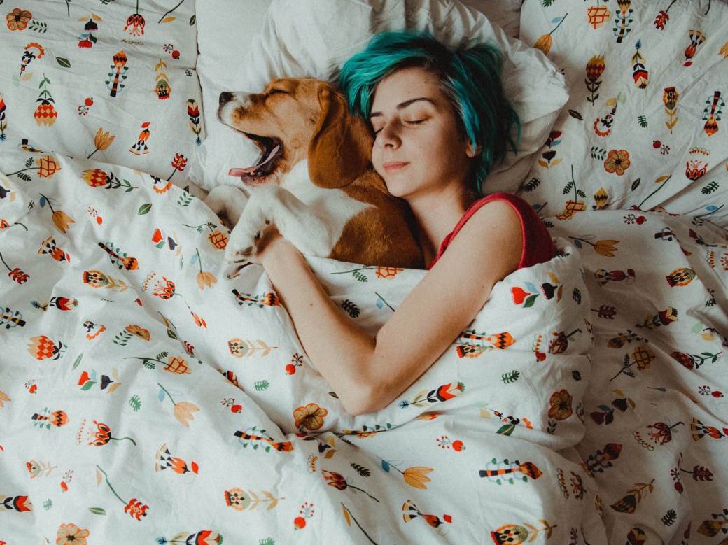  10 razloga zbog kojih su mješanci posebniji od čistokrvnih pasa 