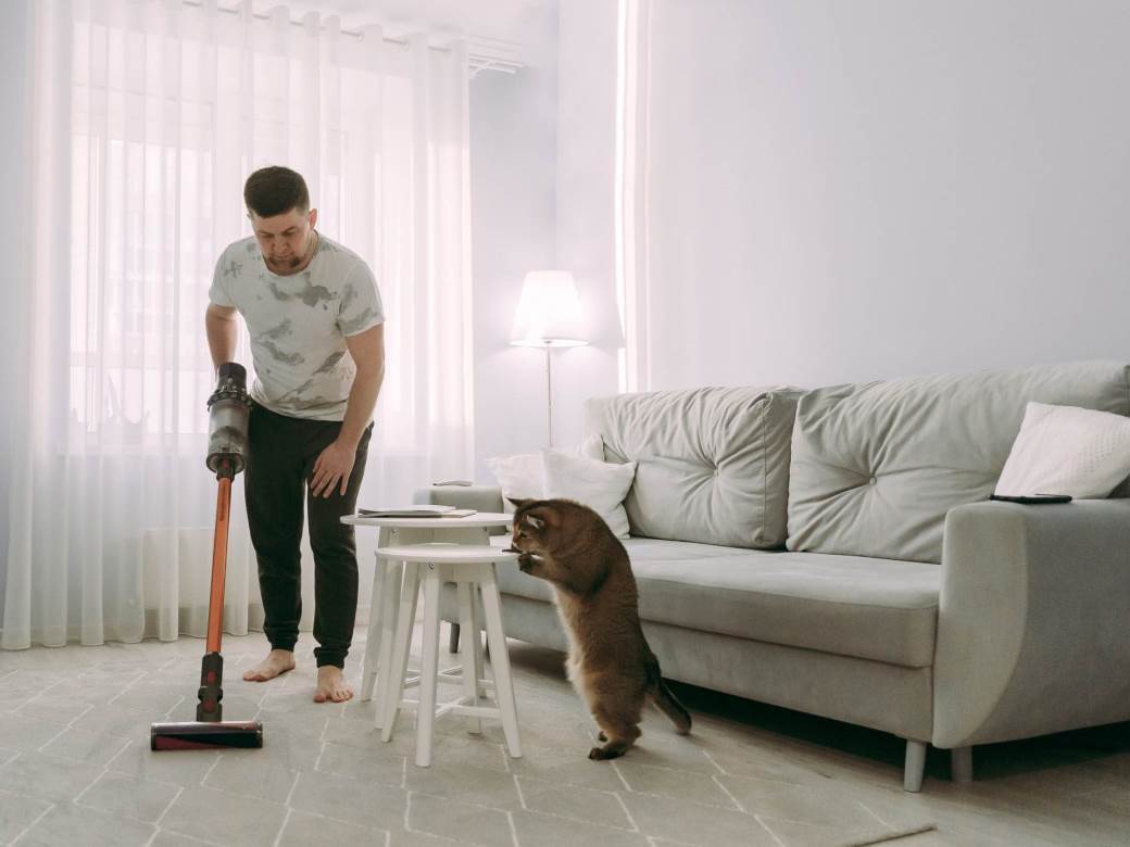  Savjeti za čišćenje i održavanje kuće za ljenjivce 