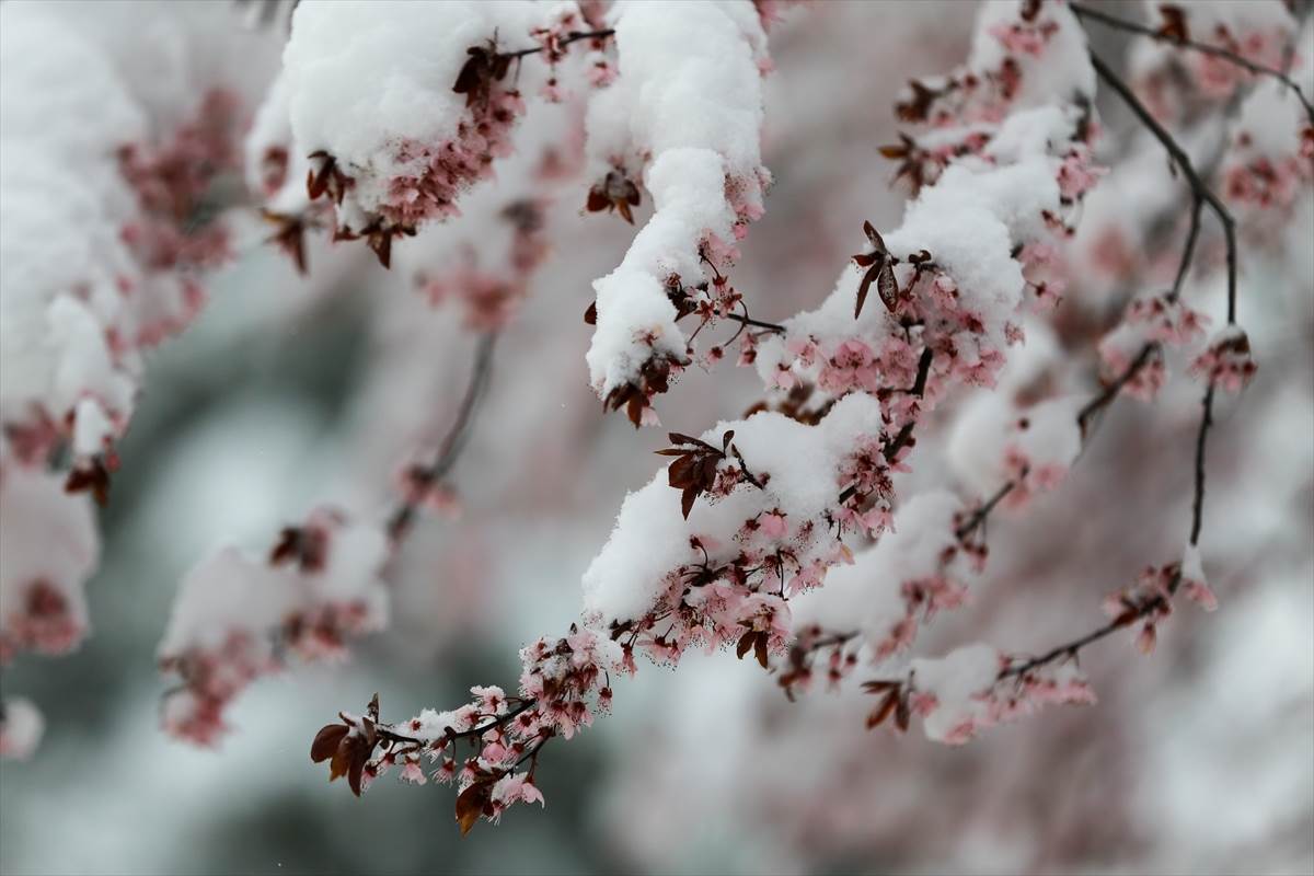  Danas hladno i oblačno sa snijegom, poledica na putevima 