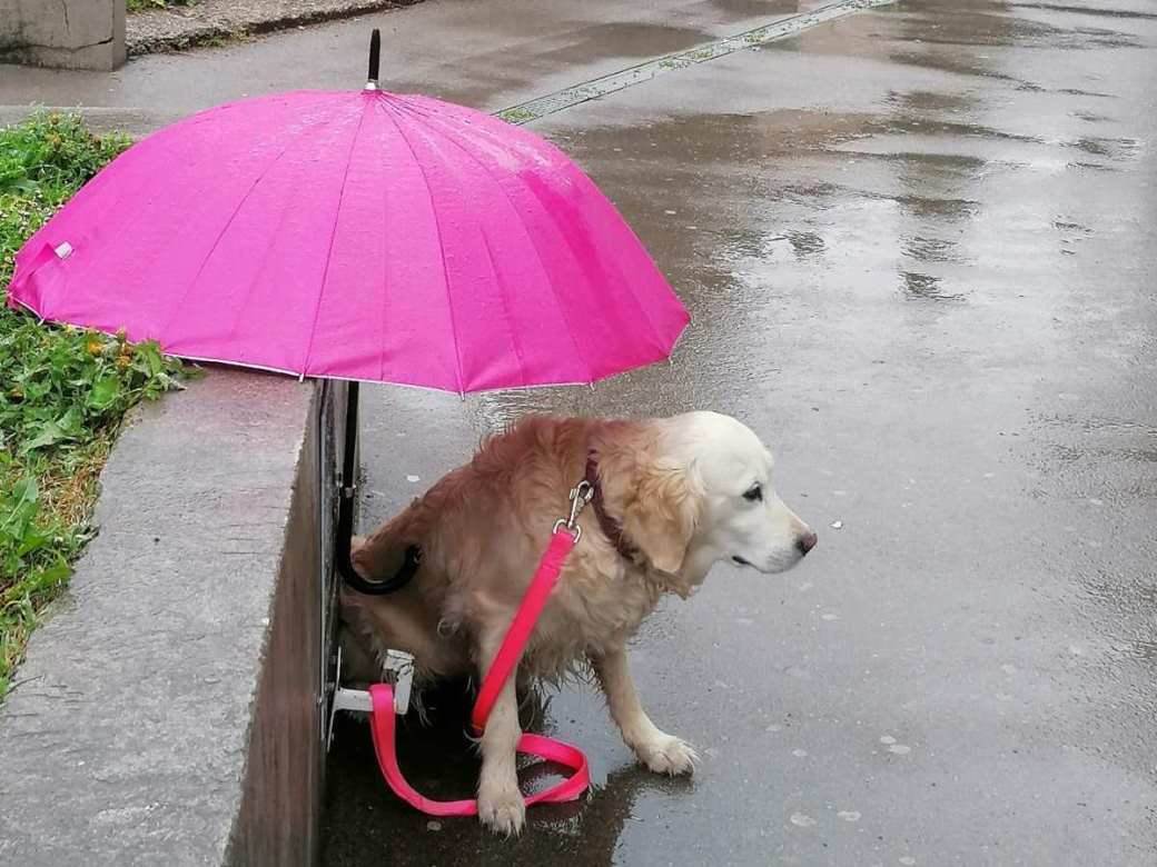  Danas oblačno sa slabom kišom, temperatura do 20 stepeni 