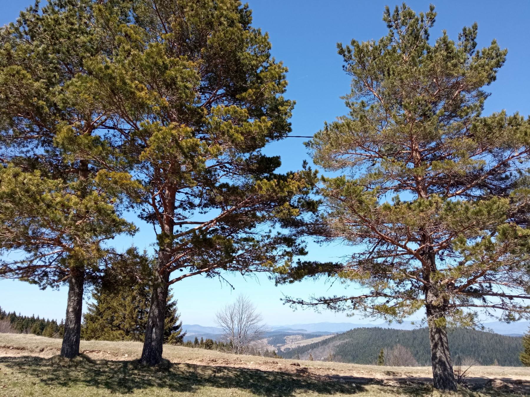  Planina Ozren turizam putovanja 