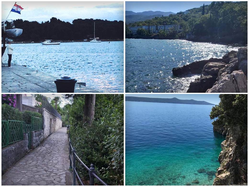  Otrovne ribe u Jadranskom moru 