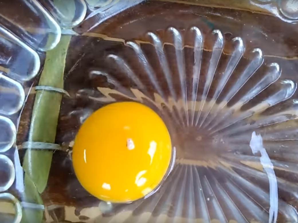  5 vrsta jaja koja niko ne bi smio da jede 