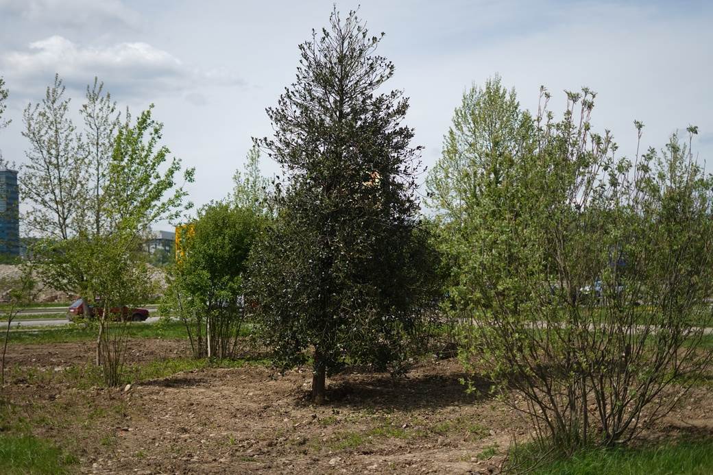  Banjaluka park kod Delte se ipak gradi 