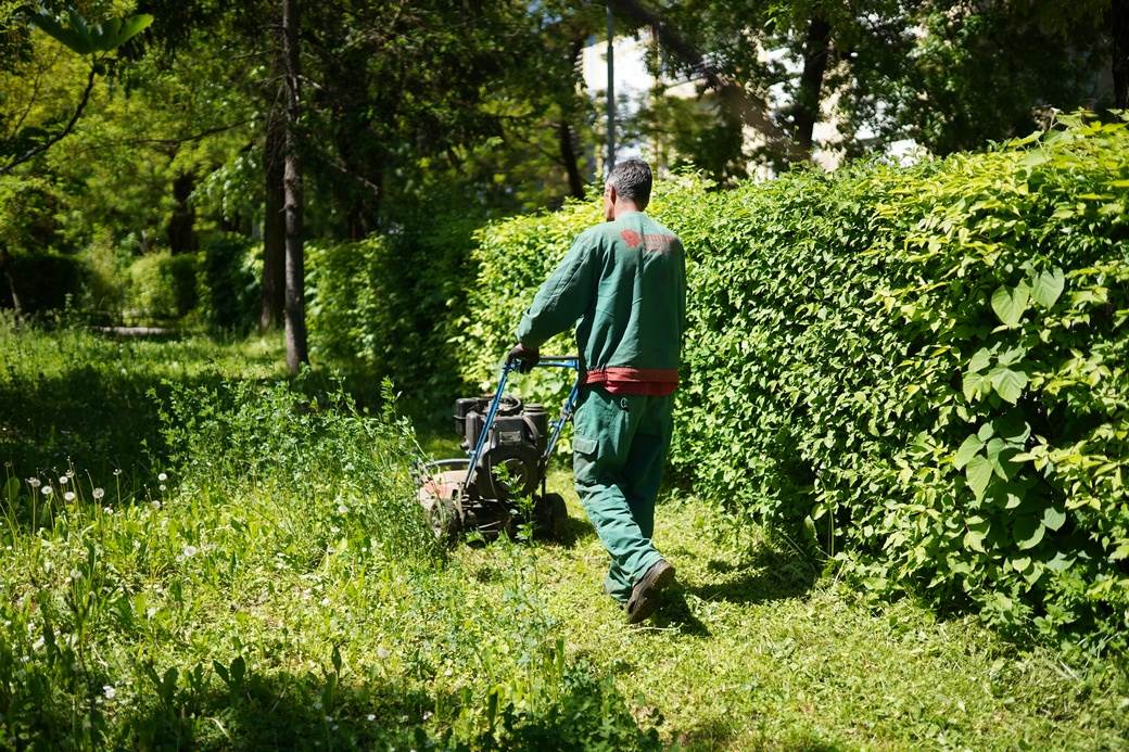 "Trava raste toliko brzo da bi se mogla kositi svaki dan" 