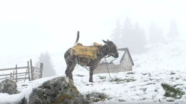  Vlašić, snijeg, ovčari 