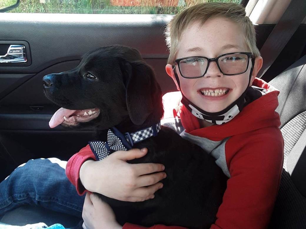  Dječak prodao kolekciju sličica da izliječi psa, iz Pokemona mu poslali rijetke primjerke 