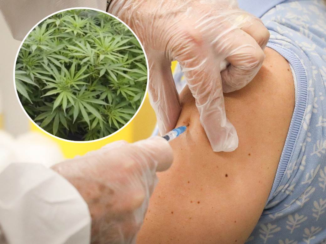  SAD uz vakcinu poklon džoint 