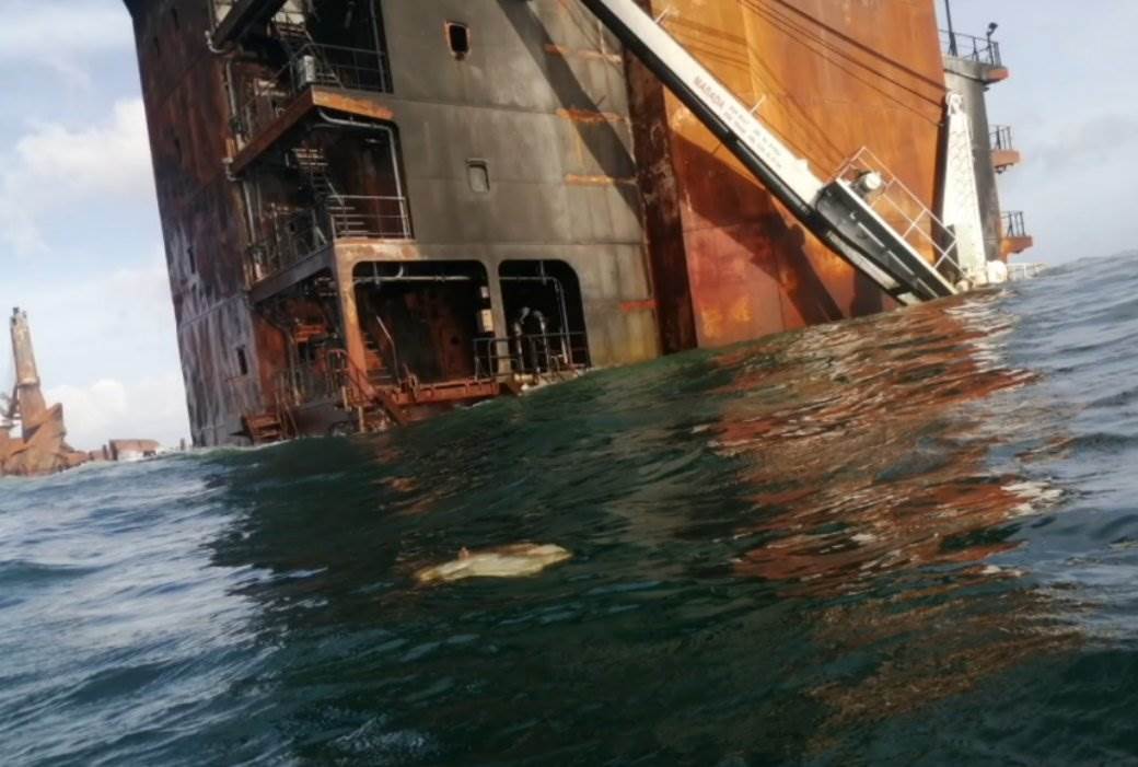  Na obalama mrtvi delfini i kornjače: Potonuo brod sa hemikalijama, ne mogu da ga izvuku! 