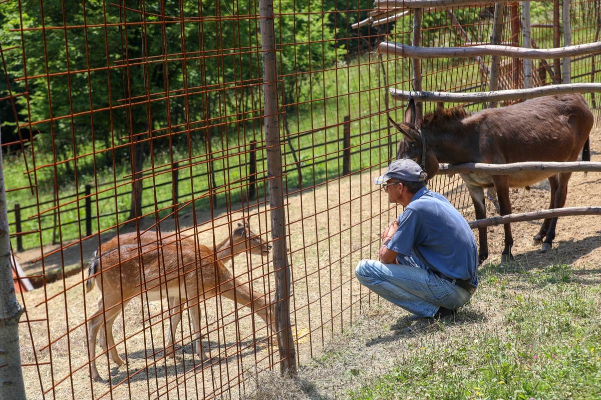 Zeničanin napravio mali raj za životinje na Smetovima, najdraži gosti su mu djeca (FOTO) 