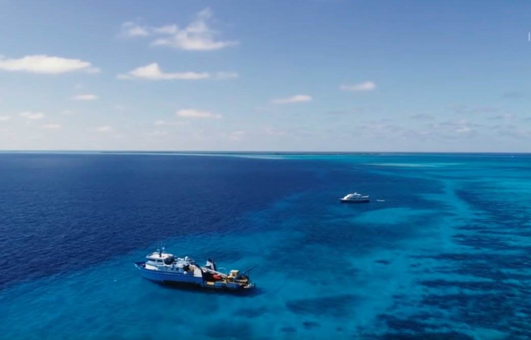 Plava rupa je najveća grobnica ronioca: Snimio svoju smrt na dnu okeana ...