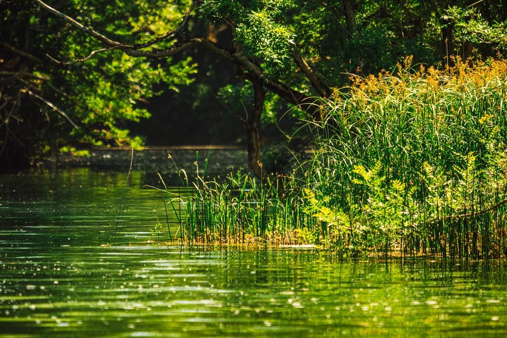  Čapljina iz Neretve izvučeno tijelo žene 