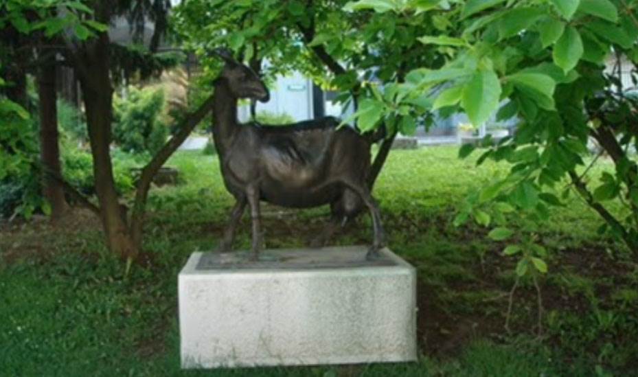  izreka Cijela Tuzla jednu kozu muzla zašto se kaže 