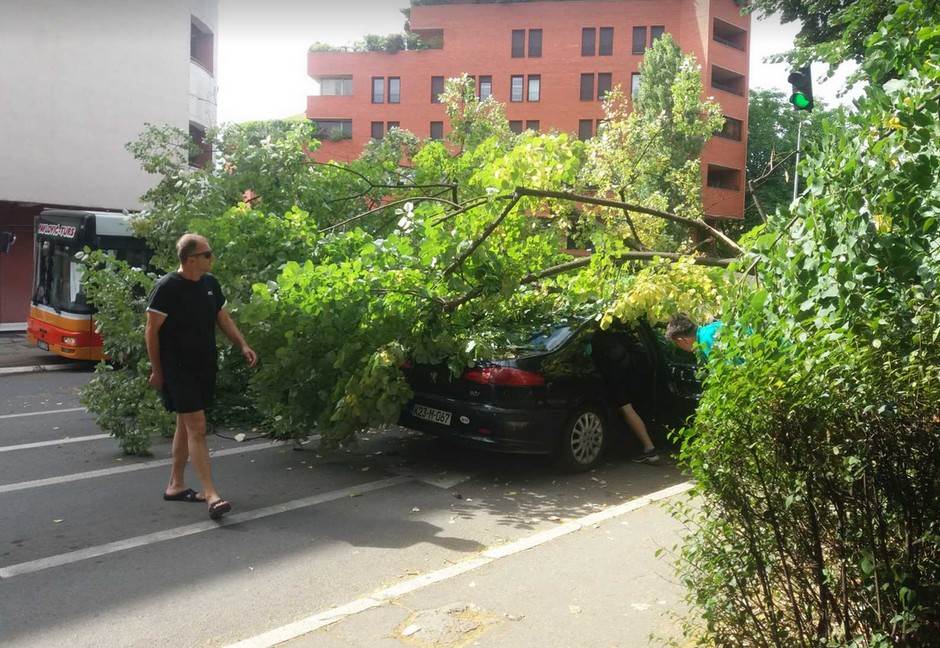  Palo drvo na automobil u Novoj Varoši (FOTO) 