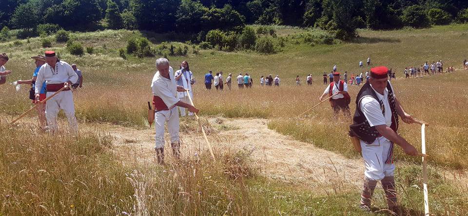  Dani kosidbe u Mrkonjić Gradu 