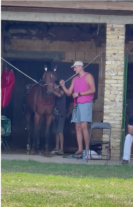  nikola jokić o konjima 