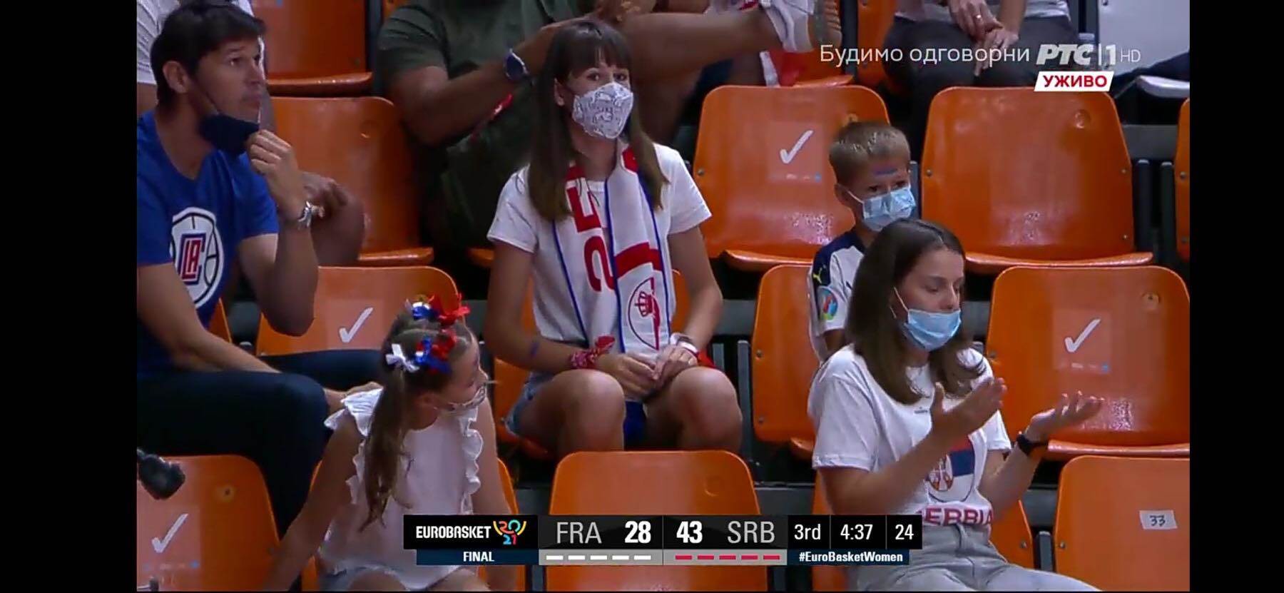 nikola đigić srbija francuska finale valensija 
