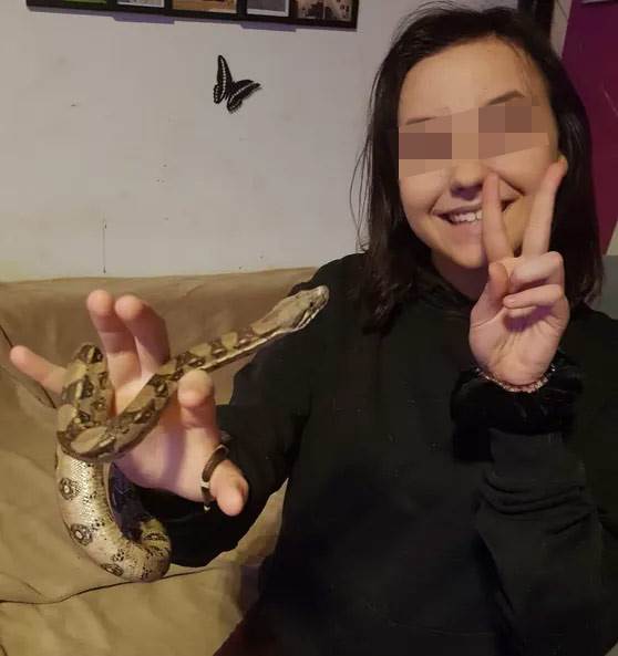  silovanje ubistvo beč 