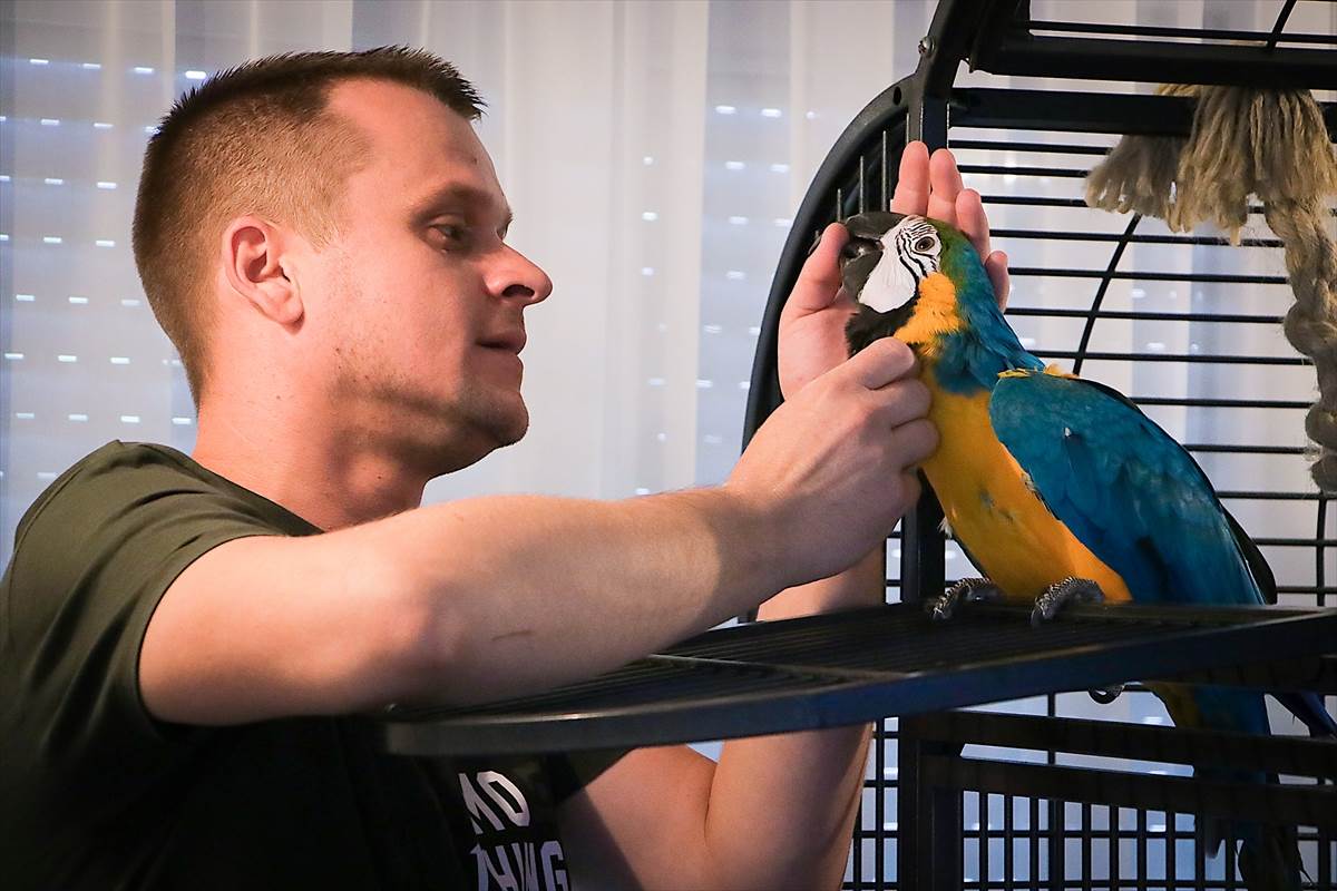  papagaji gajenje Banjaluka Boris Krečar 