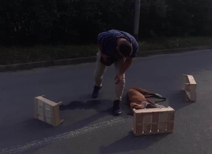  ubijen pas lazarevo budžak 