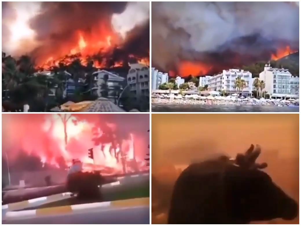  Novi požari u Turskoj: Jezivi snimci spaljenih zgrada, vatra se približila hotelima (FOTO/VIDEO) 